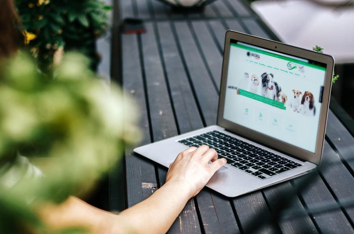 Accell-Therapy-Feature Accell Therapy