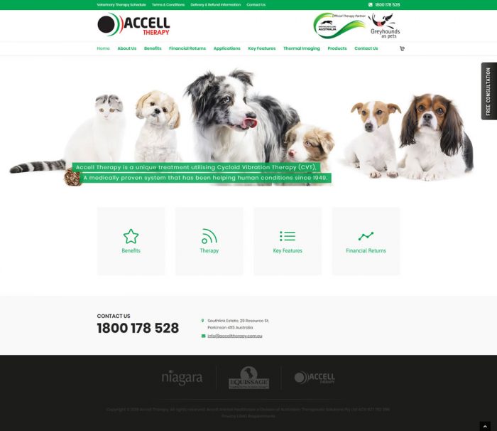Accell Therapy Homepage