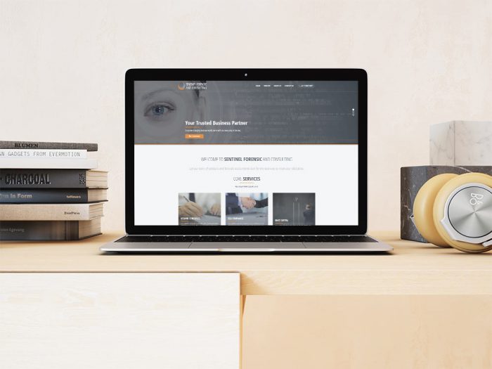 Sentinel Forensic and Consulting