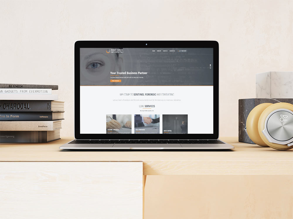 Sentinel Forensic and Consulting