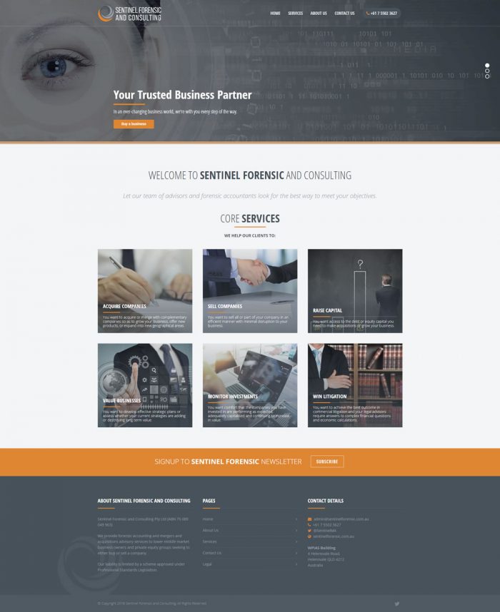 Sentinel Forensic and Consulting Homepage